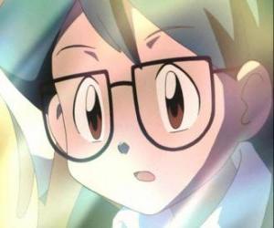 Puzzle Max εμφανίζεται ως σύντροφος του Ash Ketchum, είναι επίσης ο μικρότερος αδερφός του Μαΐου και προσχώρησε στην ομάδα Ash, Μάιο και Brock δημιουργός Pokémon.